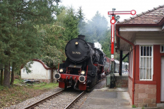 Der Dampf-Sonderzug erreicht den Bf Hinterweidenthal Ort, 17.09.2011 (Foto: ZSPNV Süd)