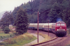 Der Bundenthaler als "Starzug" der Wieslauterbahn war meist mit Großdieselloks der BR 218 bespannt. Hier bei Bärenbach, 1980 (Slg. Günter Hünerfauth, Landau).