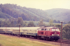 Der Bundenthaler zwischen Dahn u. Hinterweidenthal, 1980 (Slg. Günter Hünerfauth, Landau).