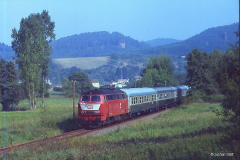 218 294-7 mit Sonderzug auf der Wieslauterbahn Richtung Bundenthal - Rumbach unterwegs.Hier kurz nach Dahn - Reichenbach(Busenberg - Schindhard).15.09.1991