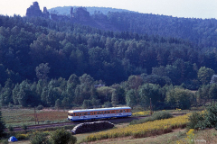 Esslinger der WEG auf Sonderfahrt kurz nach verlassen des Bahnhofs Dahn- Süd.Oben noch zu erkennen der Lämmerfels.20.09.1991