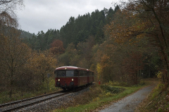 Am 11.11.2008 war ein Schienenbus der Pfalzbahn als Martinimarkt-Express auf der Wieslauterbahn unterwegs (Slg. Marcus Zimmermann, Dahn).